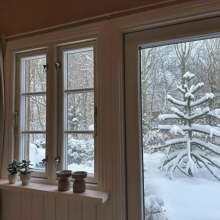 Spacious Near And Nature